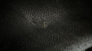 zimmer e9 pro: Сельскохозяйственные шины 13.6‑38 - Тип: диагональные (R‑1) для — 4