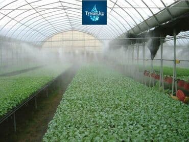 💨Tuman.kg (Охлаждение и увлажнение воздуха в теплицах и оранжереях)