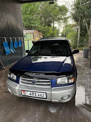subaru forester 2009: Subaru Forester: 2003 г., 2.5 л, Автомат, Бензин, Универсал — 3