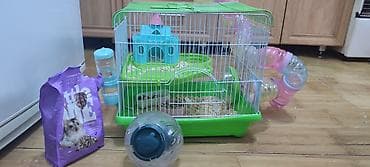 хомяк с клеткой: Продаётся большая клетка для хомяка 🐹 К сожалению, наш хомяк недавно — 1