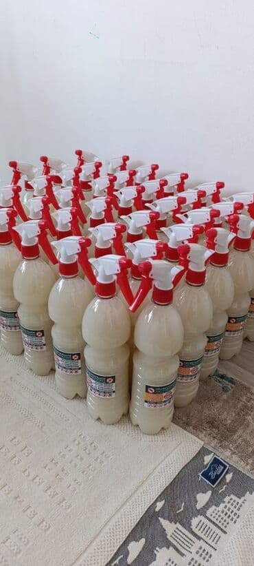 уничтожение клоп блох: Дезинфекция, дезинсекция, | Тараканы, Муравьи, Мыши и крысы, | Подвал, погреб, Офисы, Транспорт — 7