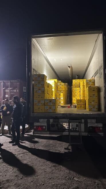 где можно купить саженцы яблони в бишкеке: Бананы В розницу — 5