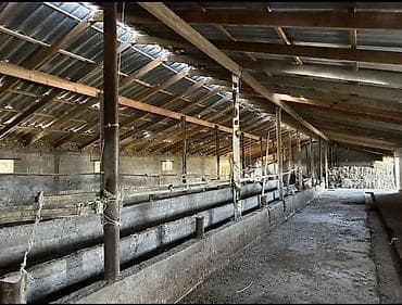 osh flat: Цена чуть чуть уступлю Продается Кошар на земельном участке площадью — 2