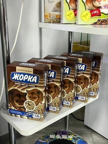 акустические системы vava колонка в виде собак: Корма, лотки, игрушки, клетки для кошек, собак, попугаев, хомячков и — 6