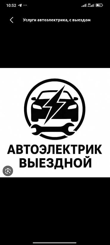 Грызуны: Выездной автоэлектрик Профессиональная диагностика и ремонт — 1