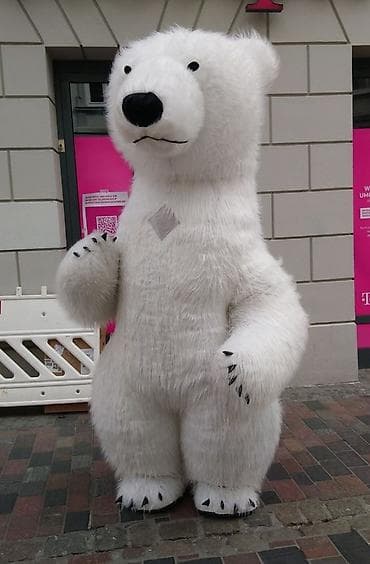 косплей бишкек: Чоң куурчак, Жаныбар, Панда — 5