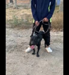 хтз т 150 к: Toyota AA: 1920 г., 1.3 л — 1