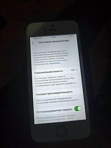 apple studio display: IPhone SE, Б/у, 16 ГБ, Серебристый, Чехол, 100 % — 4