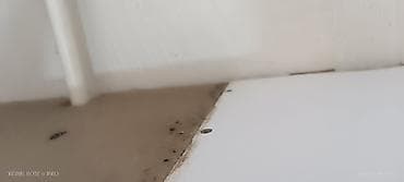 Уборка подъездов Уборка квартир домов, после ремонта после — 1