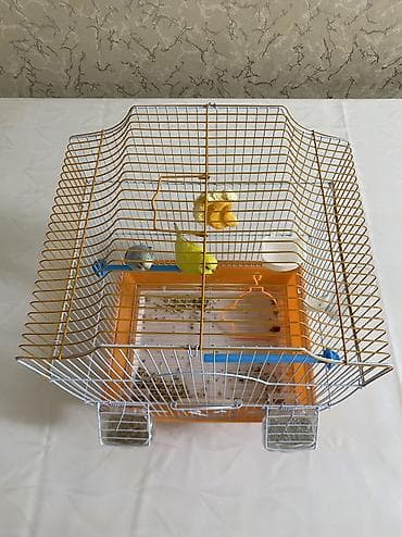 Ветеринар кызматы: 2 попугая, клетка — 2