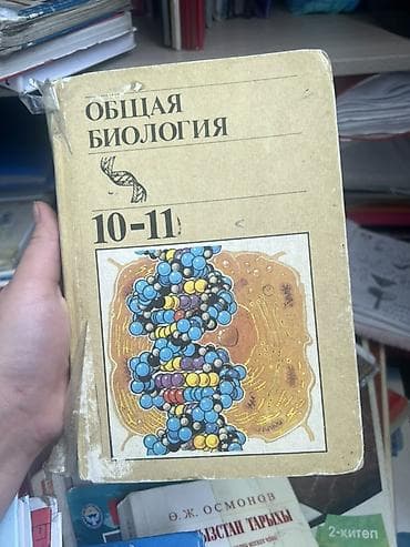50 школа: Пишите — 4
