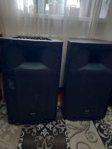 Усилители звука: Пара активных акустических систем RYTMIX (серия Concert/Stage). - — 2