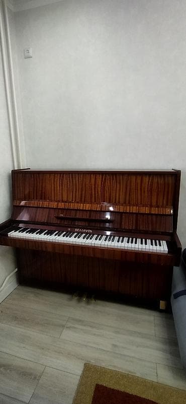 Микрофоны: Пианино 🎹"Беларусь " В хорошем состоянии! — 5