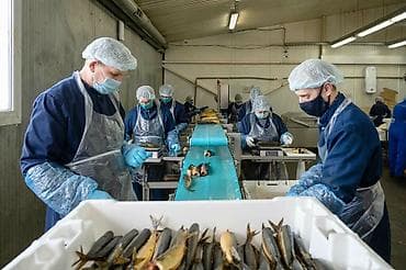 рыби: Приглашаем на работу в г. Клин МО, на завод морепродуктов. Мужчин и — 3