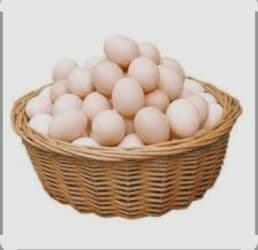 купить яйца куриные: Оптом и в розницу куринные яйца!!! Предлагаем вам свежих куриных яиц — 6