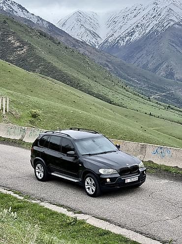 BMW: BMW X5: 2009 г., 3 л, Автомат, Дизель, Внедорожник — 1
