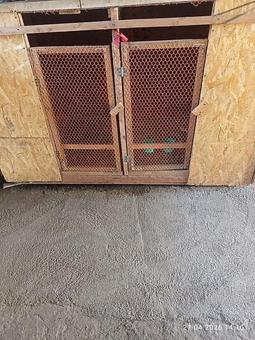 маскитная сетка ош: Деревянный вольер/клетка для продаю срочно животных и птицы из ОСБ - — 3