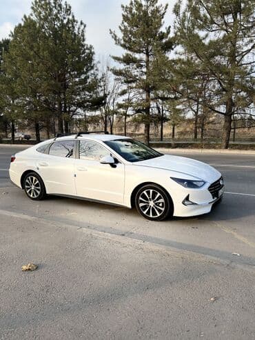 инструмент для удаления вмятин без покраски бу: Hyundai Sonata: 2020 г., 2 л, Автомат, Газ, Седан — 4