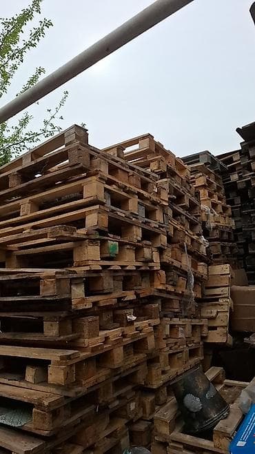 сушилка цена: Поддон В наличии — 2