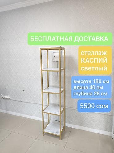 полка обувной: Книжная полка, Новый, Железо, Напольная, Бесплатная доставка — 1
