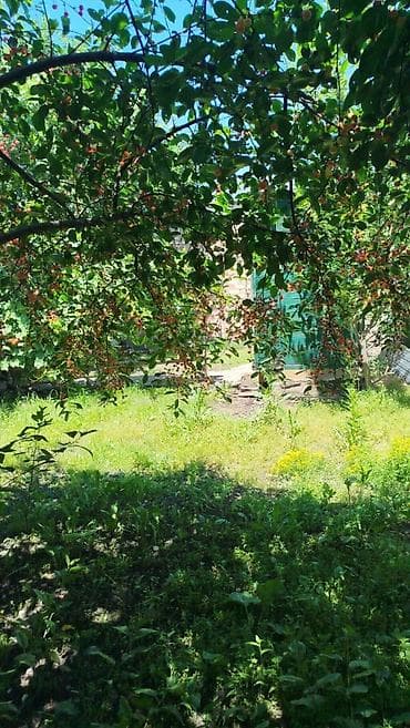 104: 🏡 Продаётся 3-комн. кирпичный дом в начале Маевки! 📍 Район: рынок — 5