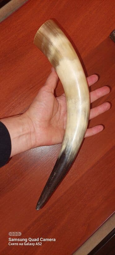 купить прикормочный кораблик для рыбалки: Рог. В хорошем состоянии — 2