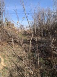 клубный дом карвен: 17 соток, Для сельского хозяйства, Красная книга — 2