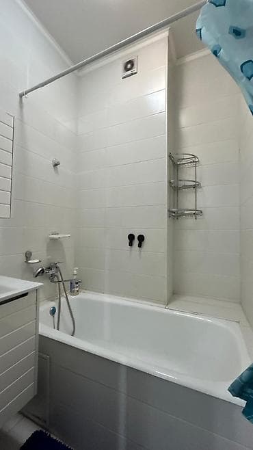 central park: 2 комнаты, 60 м², Индивидуалка, 9 этаж, Евроремонт — 8