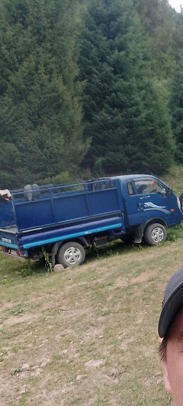 Жеңил жүк ташуучу унаа, Kia, Стандарт — 4
