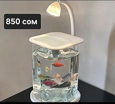 тоок сатып алам: Аквариумы и емкости для содержания черепах/мелких водных питомцев. 1) — 8