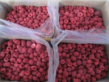 malina.kg продажа малины оптом в бишкеке новопокровка фото: Тоңдурулган мөмө-жемиштер, жер-жемиштер, Малина, Шок тоңдуруу, Дүңүнөн — 2