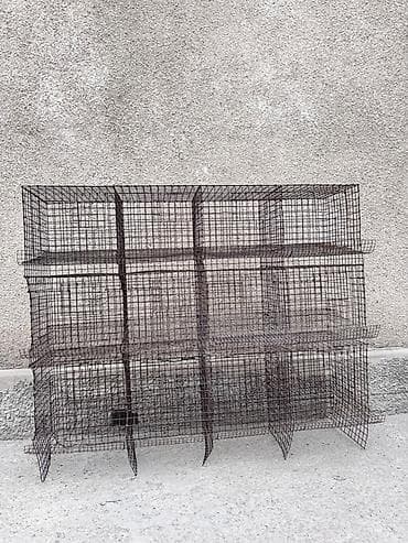 птици: Другая сетка — 2