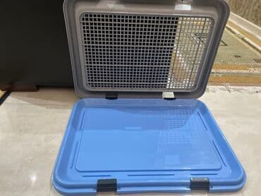 корм для кур несушек цена бишкек: Туалет для собак Размер Длин. 60 Шир. 45 Выс. 7 Новая не пользовались — 3