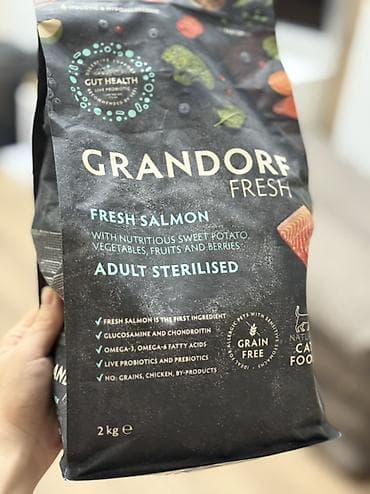 ящик сатылат: Продается котик 1 год Привитый, Проглистованный, Кастрированный — 8