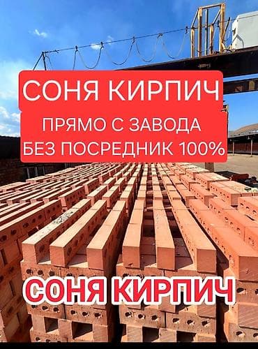 спальная б у: Пустотелый, дырчатый, Жженый кирпич, Одинарный, 250×120×65 — 1