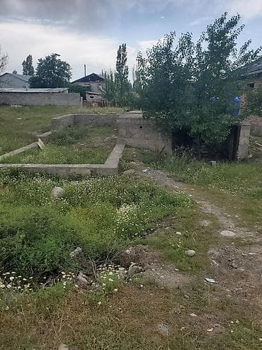 royal yard: 5000 соток, Для сельского хозяйства, Тех паспорт — 8