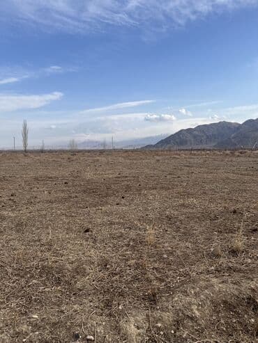 рабочий городок пол дома: 600 соток, Айыл чарба үчүн, Кызыл китеп, Техпаспорт, Сатып алуу-сатуу келишими — 4