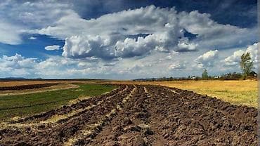 1084 соток, Для сельского хозяйства