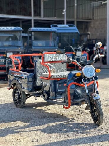 Мотороллер муравей Электро, 60 км, До 299 кг, Новый