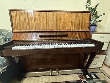 4 5мм: Тип: акустическое (вертикальное, upright) ￼ 	•	Количество клавиш: 88 — 1