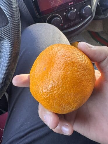 превосходные яблоки: Апельсины Оптом — 2