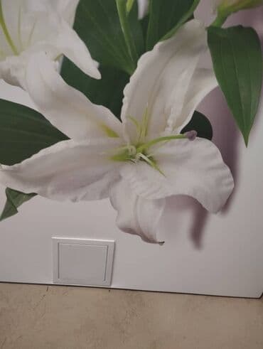 потолок пластик: Натяжной потолок Глянцевое, Матовое, 3D потолки Гарантия, Бесплатная консультация, Бесплатный замер — 19