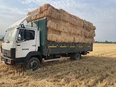 эвакуаторы спринтер: Грузовик, Mercedes-Benz, Стандарт, 5 т, Б/у — 5