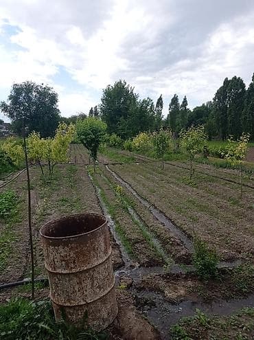 баха магистирал: Дом с внутренним двором и террасой/верандой. - Одноэтажный жилой дом — 5