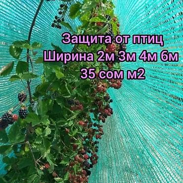сетка для картошка: Защитные сетки от птиц — 1