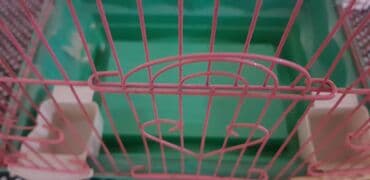 печка для дома электрическая: Продаю клетку для птиц и хомяков. в подарок 1 коробка корм для птиц
+ — 3