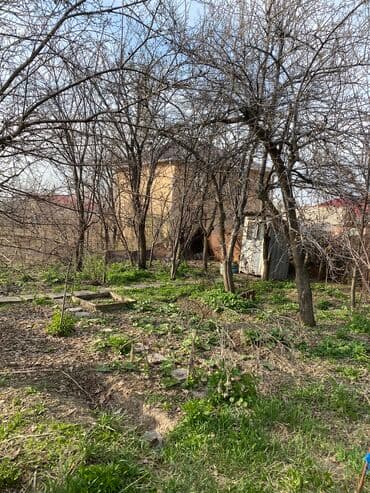 охрана токмок: Другие удобства для дома и сада, Самовывоз — 7