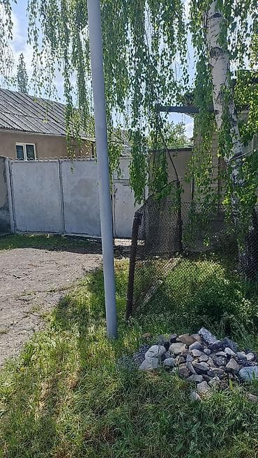 Продаётся частный дом с приусадебным участком правильной формы. -