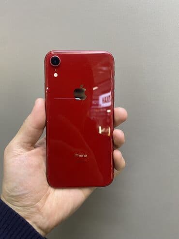 iphone xr каракол: IPhone Xr, Колдонулган, 64 ГБ, Кызыл, Заряддоочу түзүлүш, Коргоочу айнек, Каптама, 77 % — 4