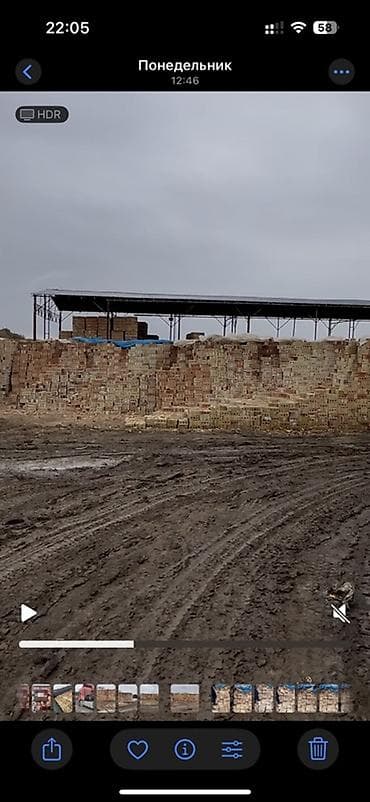 отун скупка: Тешиктүү, Бышкан кирпич, Жарым блок, 250×120×90 — 4